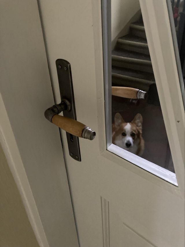 received 1767038713759690